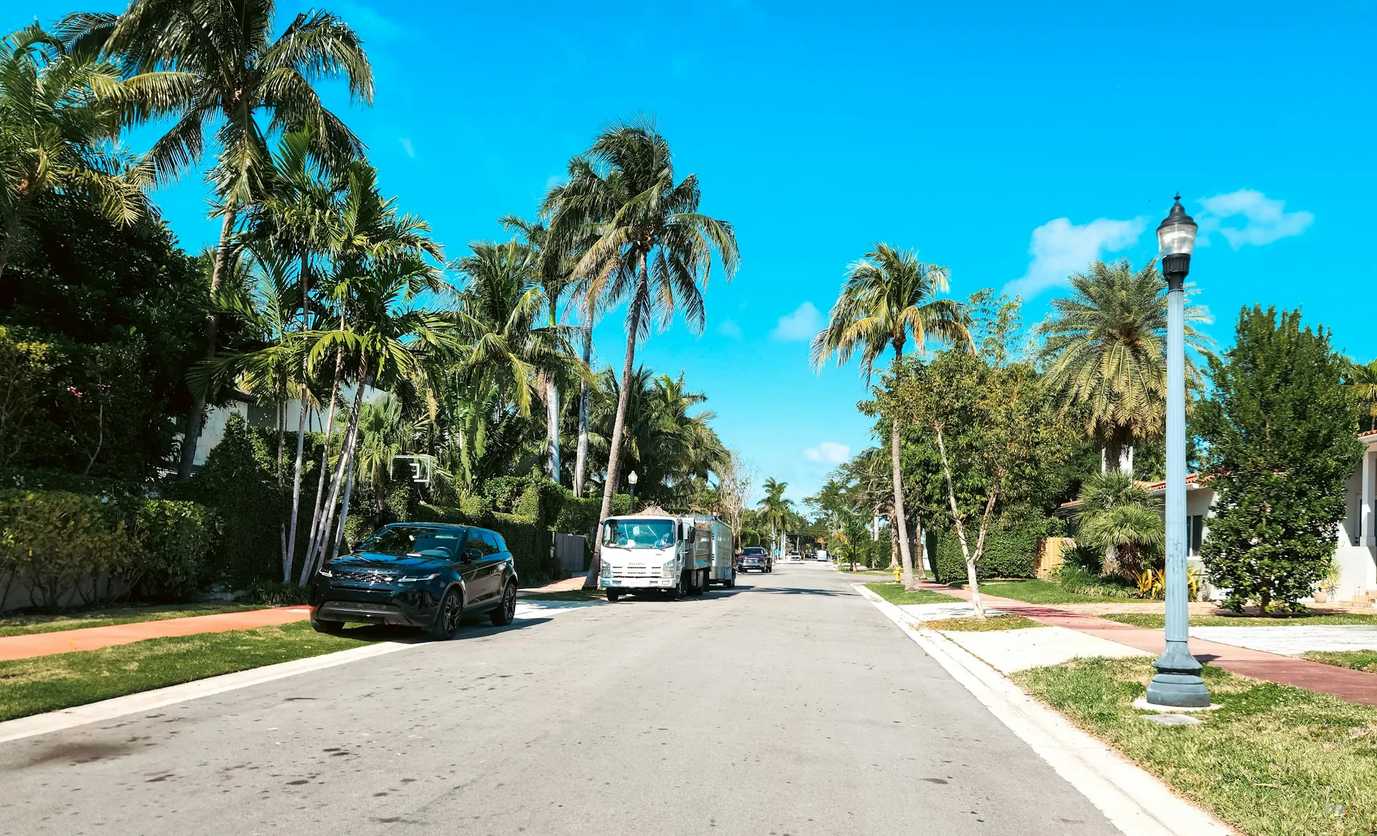 A residential street of single-storey homes under palm trees